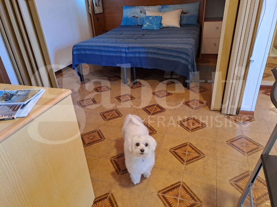 Appartamento - Image 25