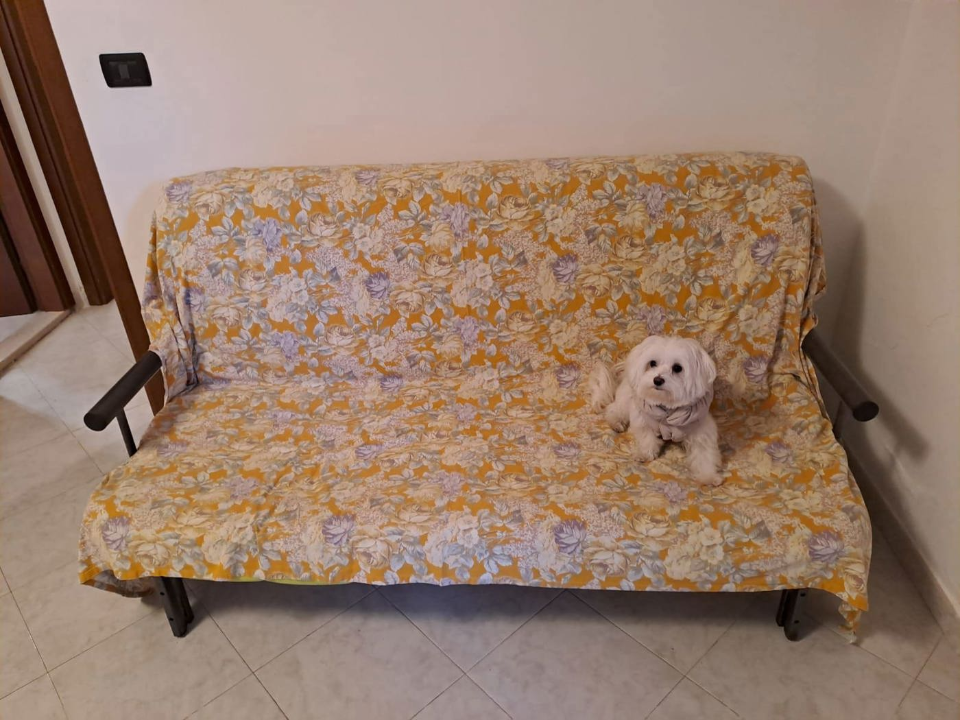 Appartamento - Image 1