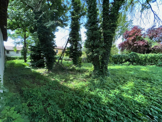 Appartamento - Image 4