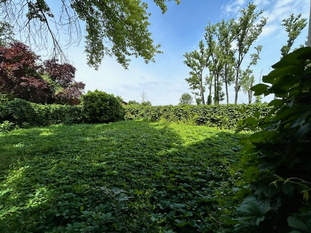 Appartamento - Image 5