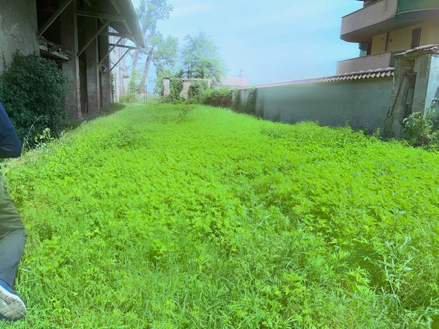 Appartamento - Image 22