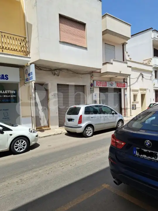 Appartamento - Image 4