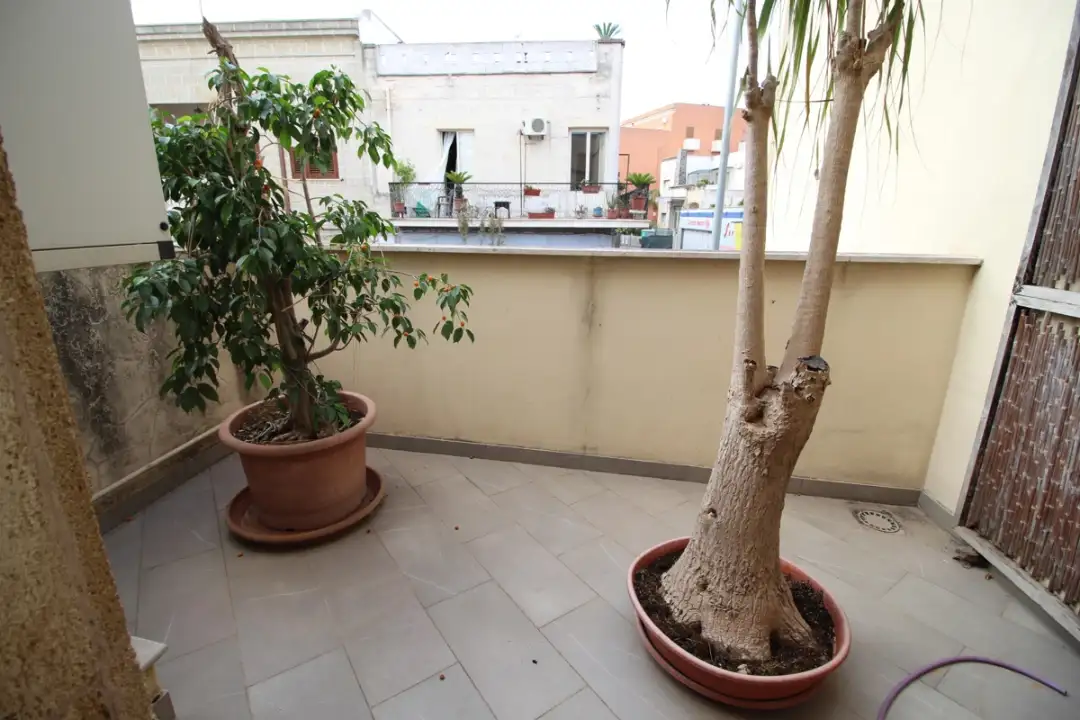 Appartamento - Image 4