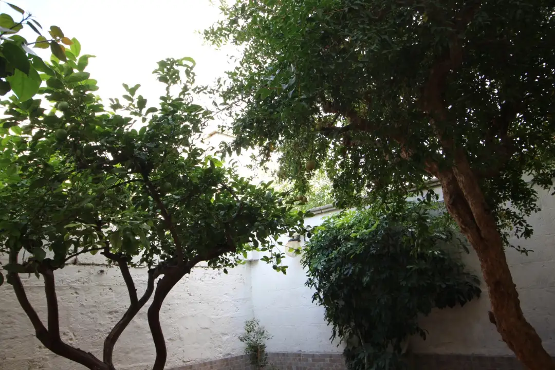 Casa Indipendente - Image 15