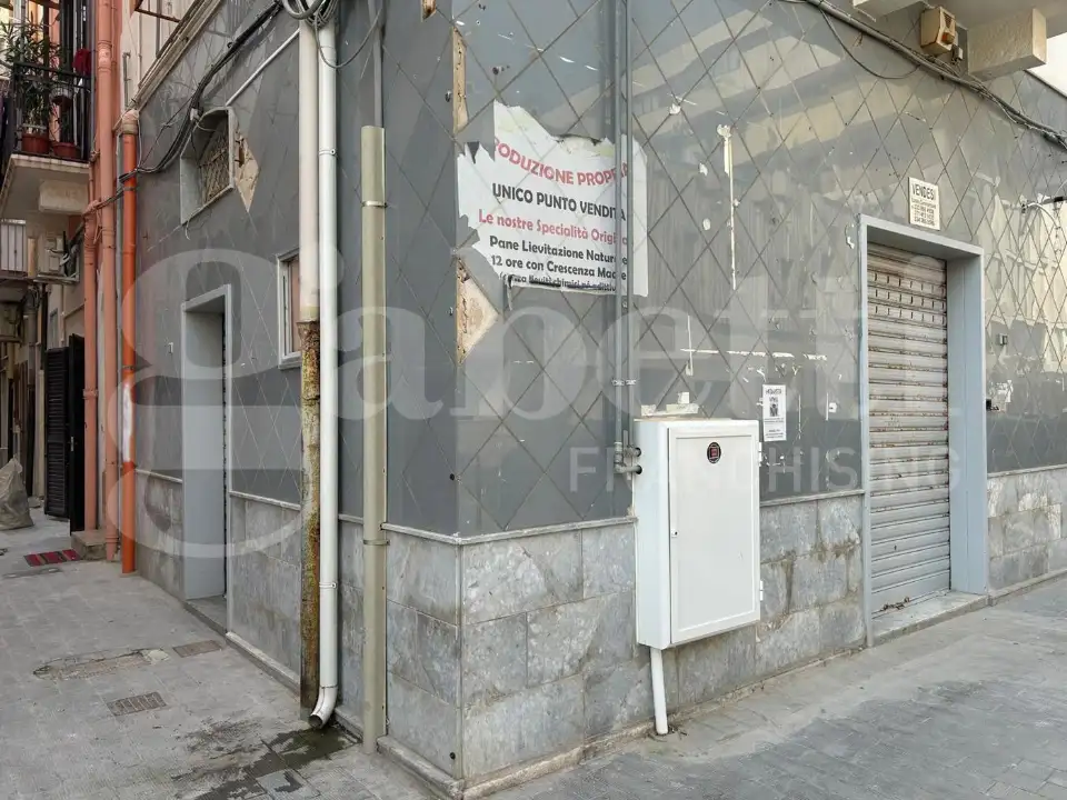 Appartamento - Image 4