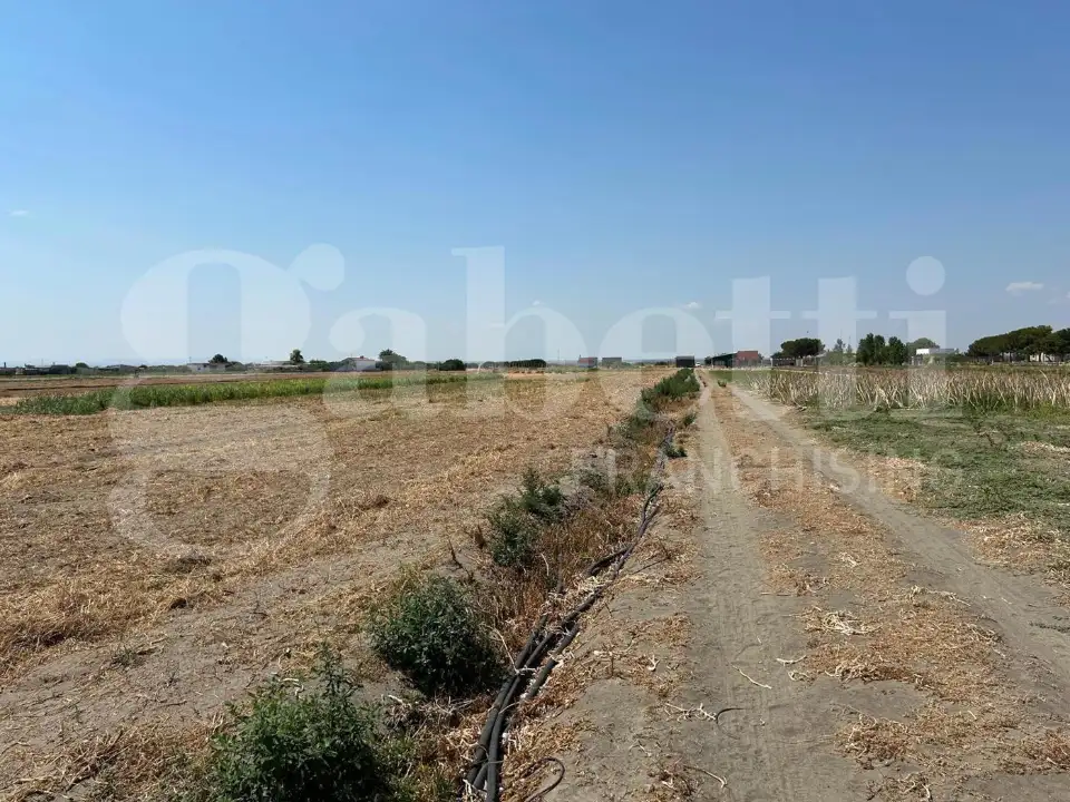 Casa Indipendente - Image 4