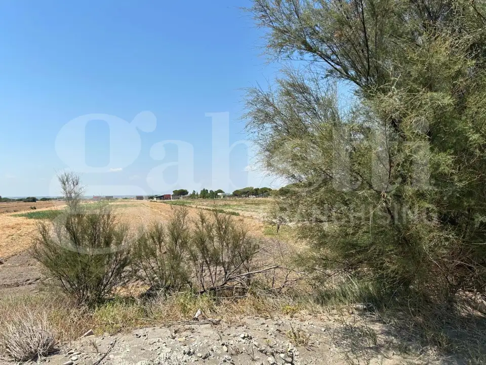 Casa Indipendente - Image 8