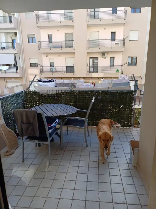 Appartamento - Image 8