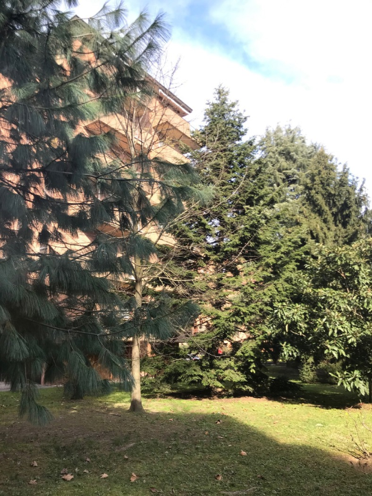 Appartamento - Image 3