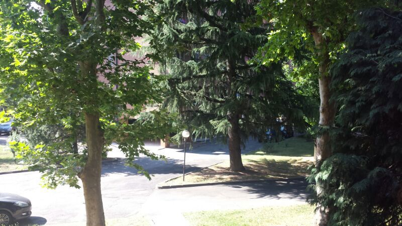 Appartamento - Image 4