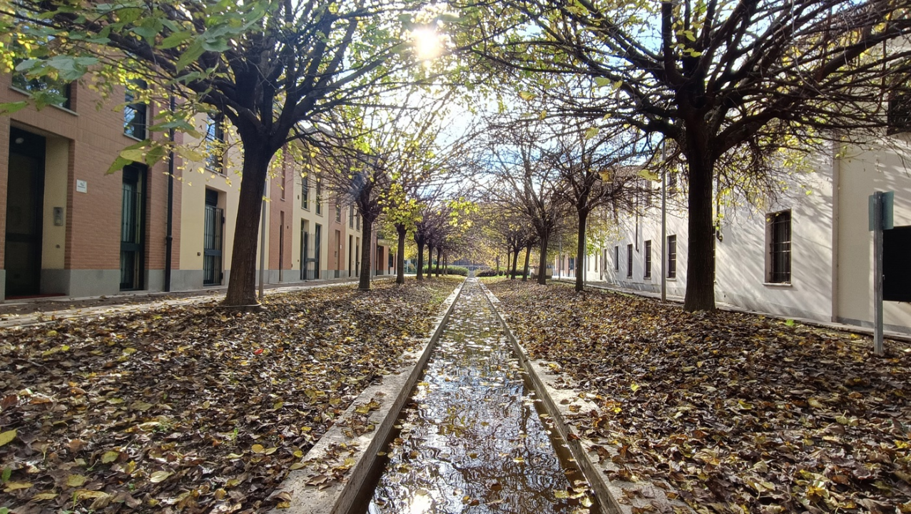 Appartamento - Image 6