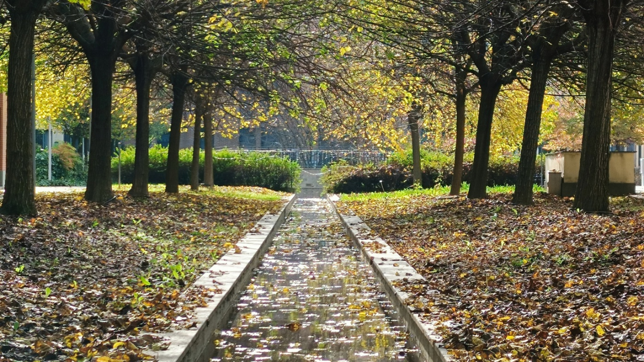 Appartamento - Image 3