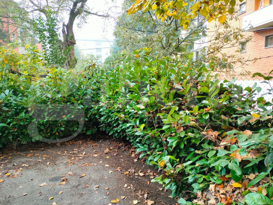 Casa Indipendente - Image 6