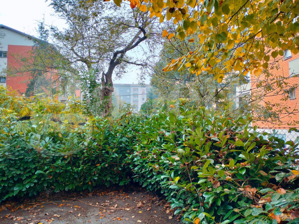 Casa Indipendente - Image 5