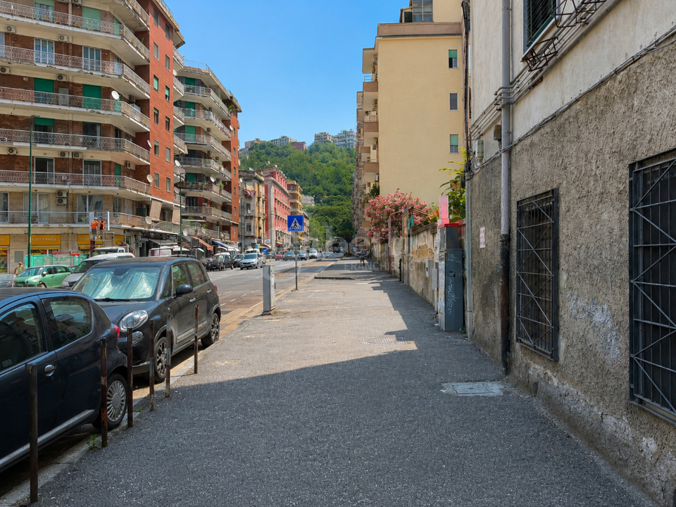 Negozio - Image 15