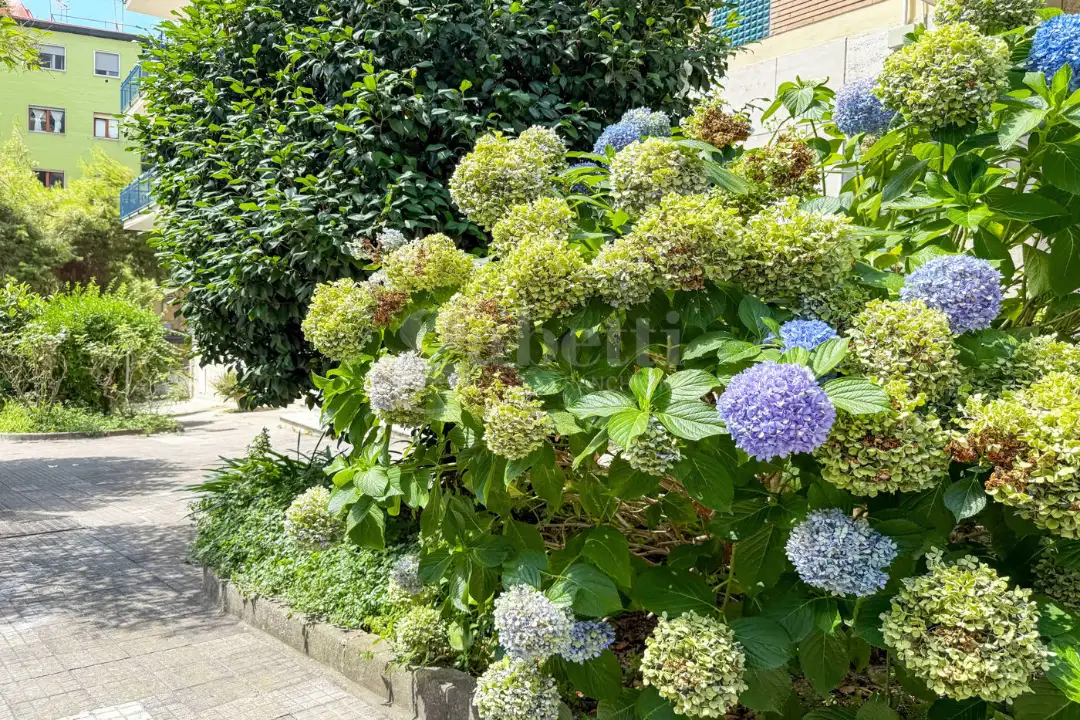 Appartamento - Image 39