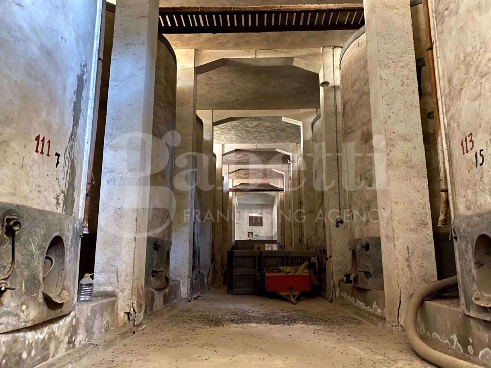 Casa Indipendente - Image 6