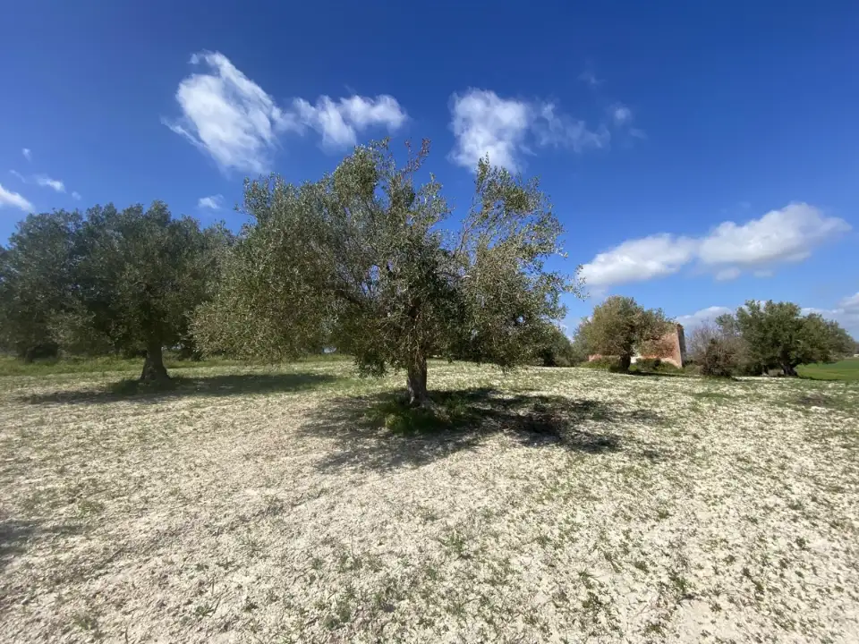 Casa Indipendente - Image 8