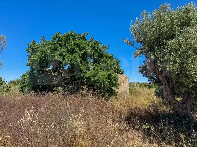 Casa Indipendente - Image 10