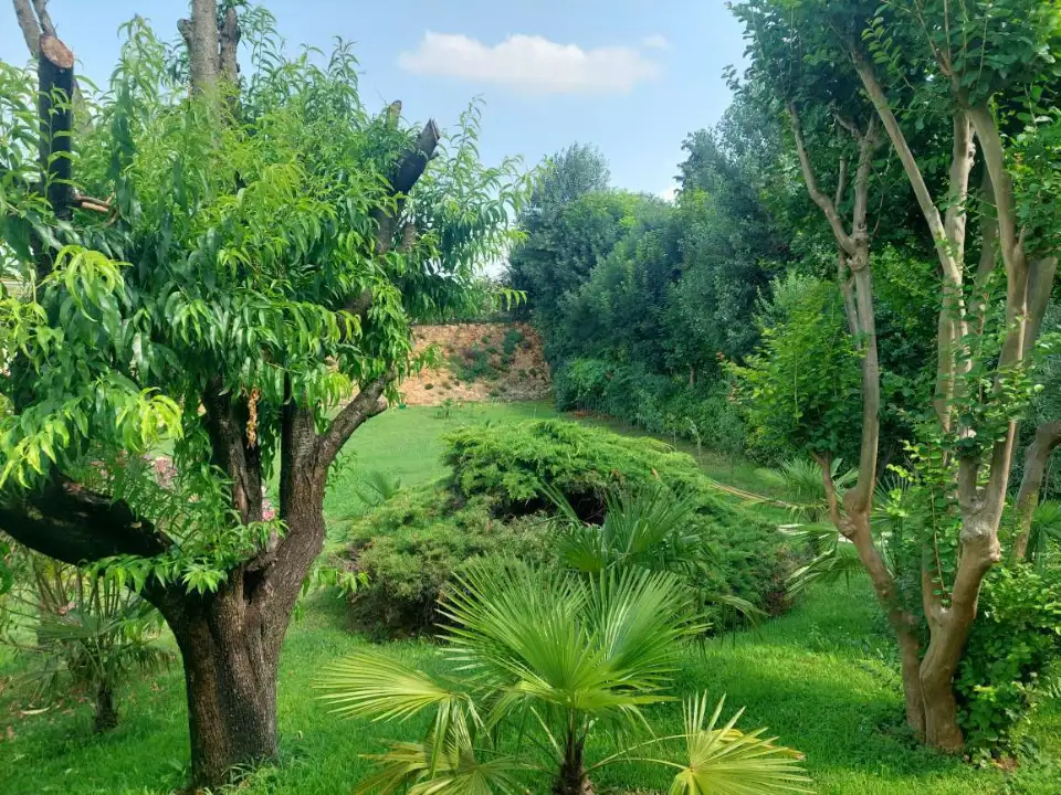 Casa Indipendente - Image 6