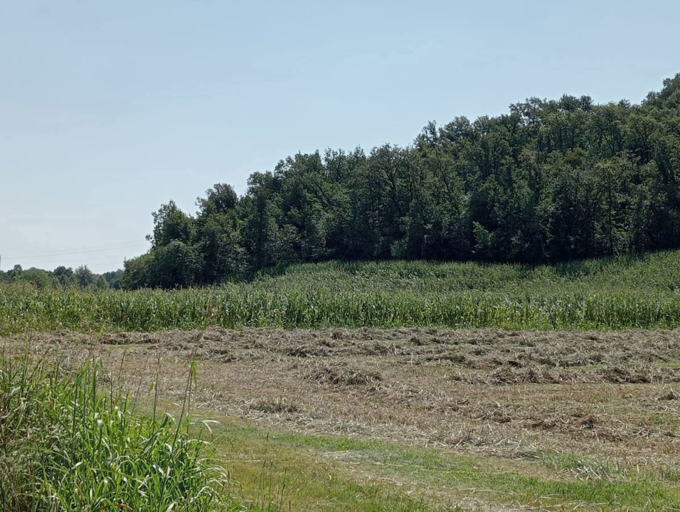 Casa Indipendente - Image 19
