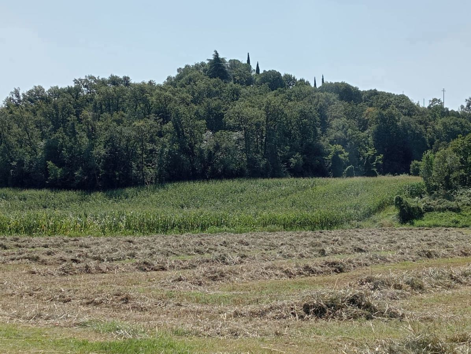 Casa Indipendente - Image 8