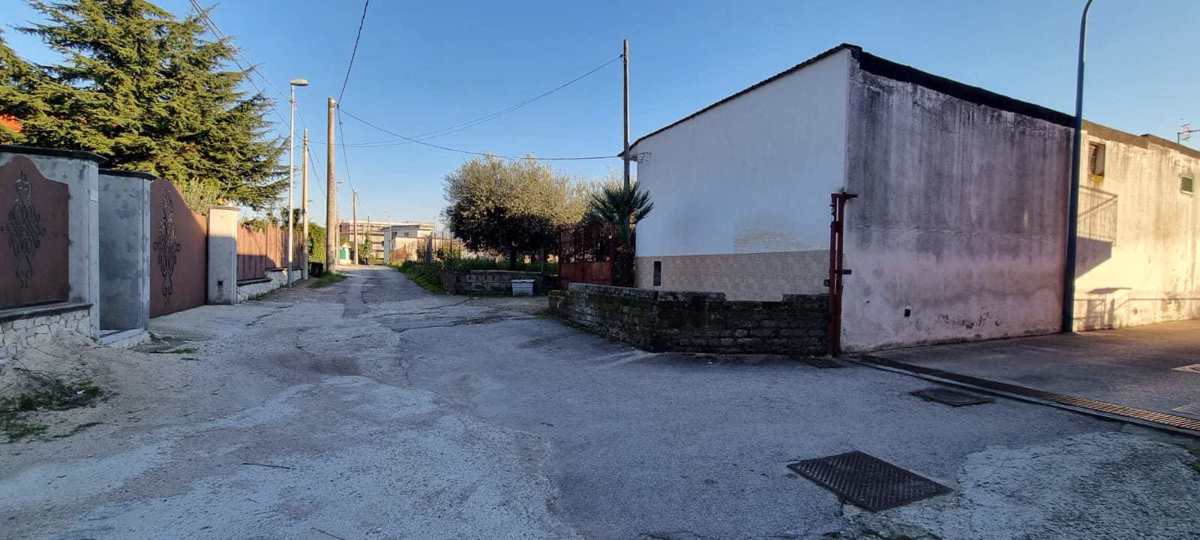 Complesso - Image 10