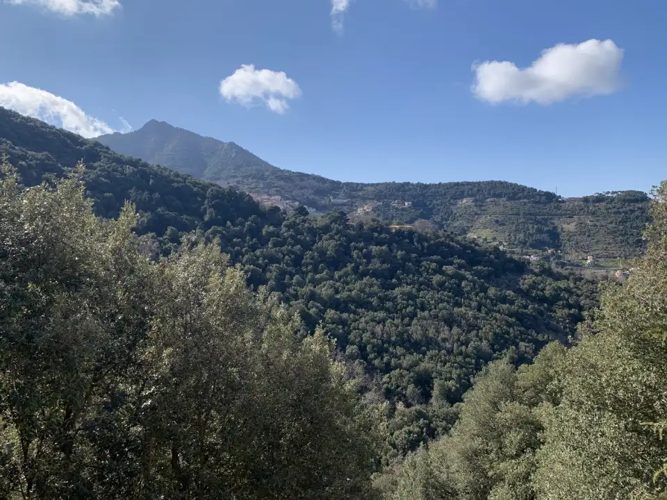 Appartamento - Image 14