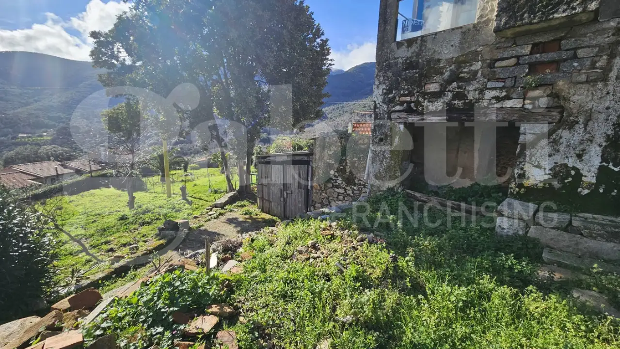 Casa Indipendente - Image 3