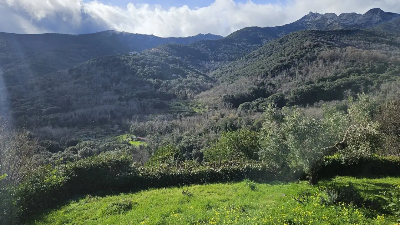 Casa Indipendente - Image 6