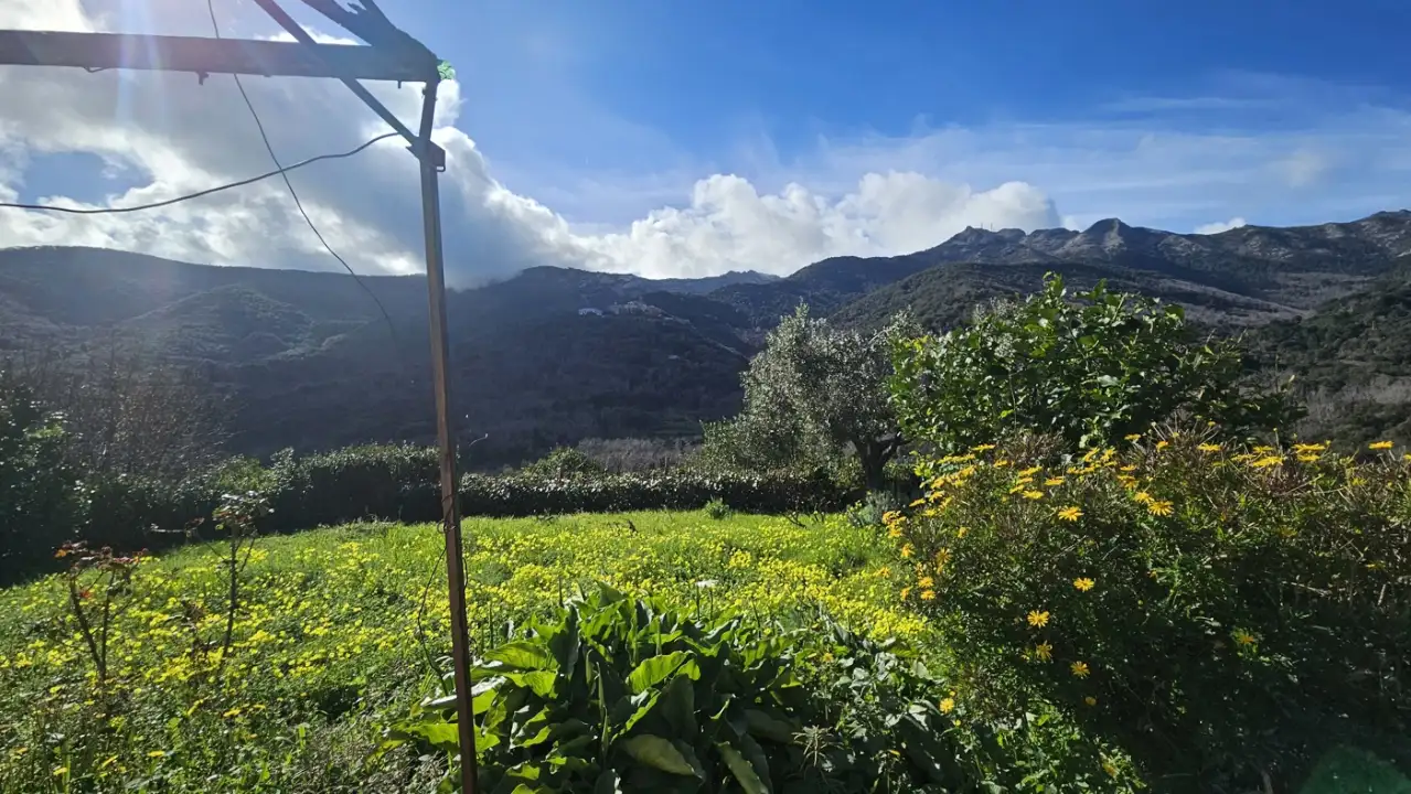 Casa Indipendente - Image 3