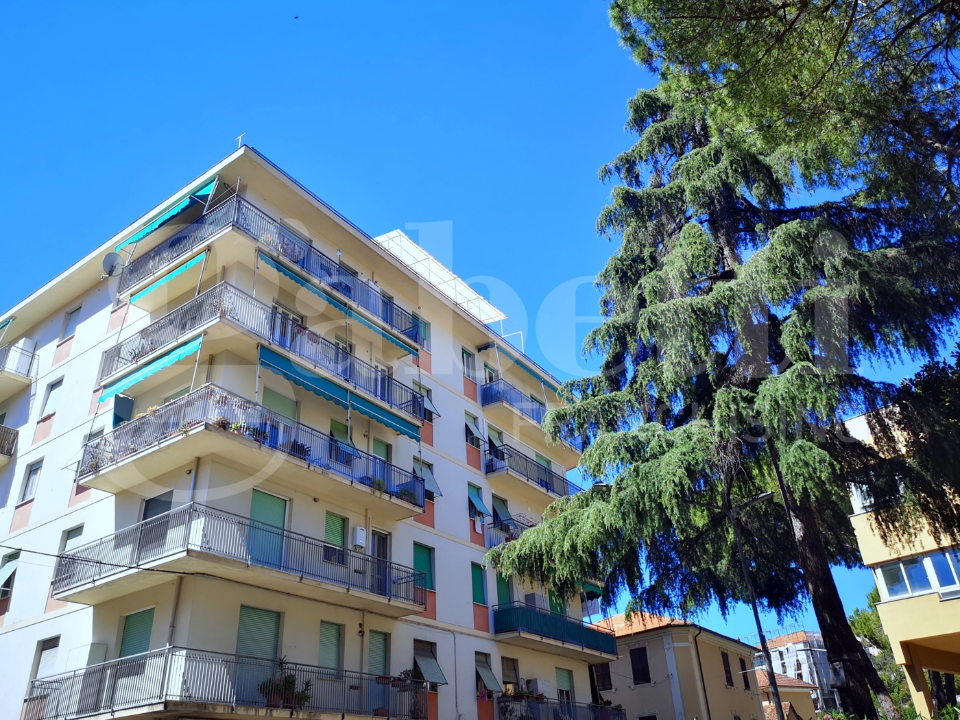 Appartamento - Image 36