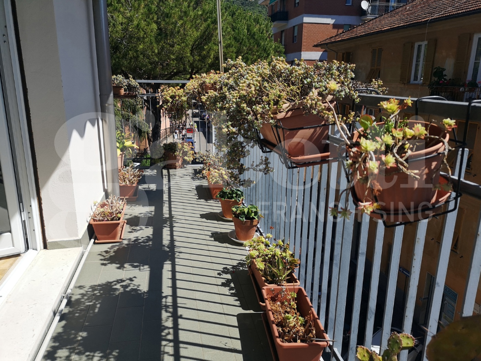 Appartamento - Image 4