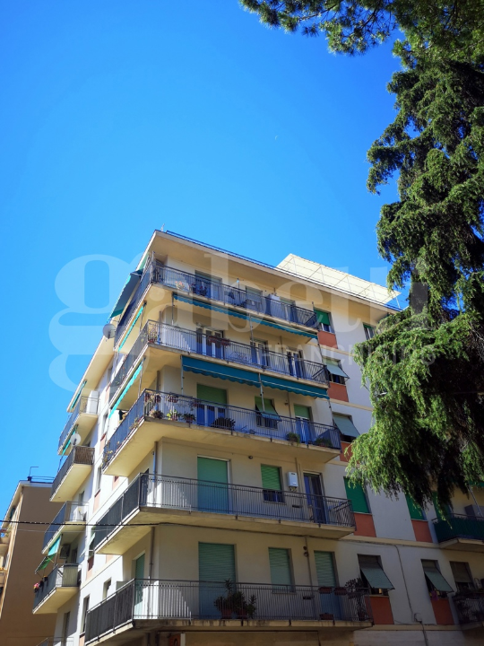 Appartamento - Image 13