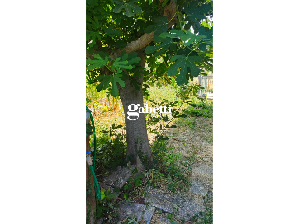 Appartamento - Image 32