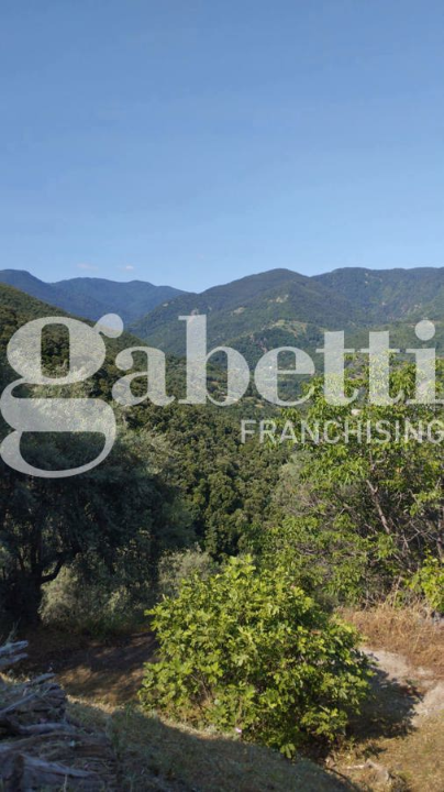 Casa Indipendente - Image 4