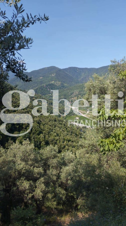 Casa Indipendente - Image 6