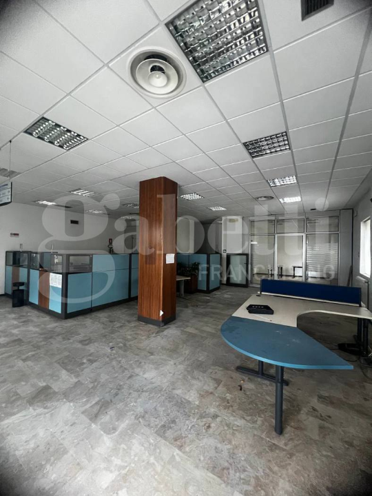 Magazzino - Image 13