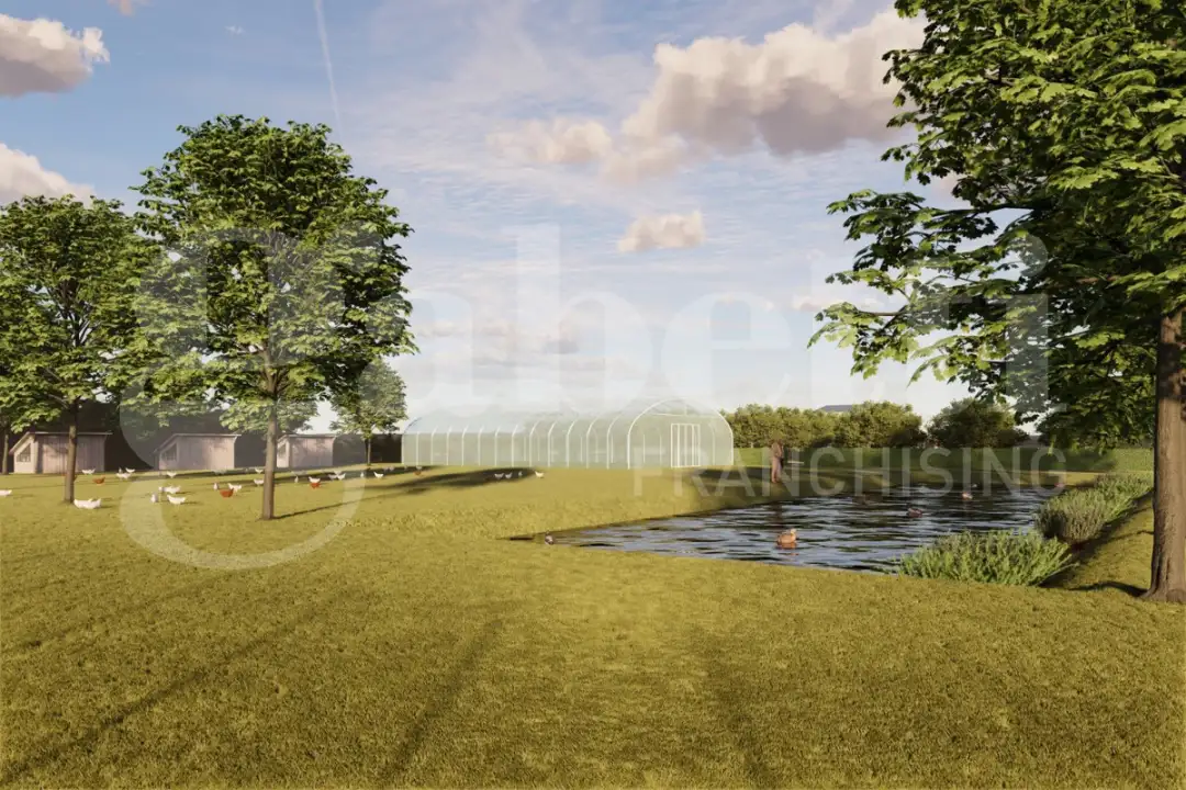 Casa Indipendente - Image 6