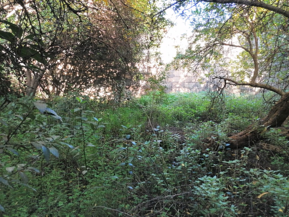 Casa Indipendente - Image 6