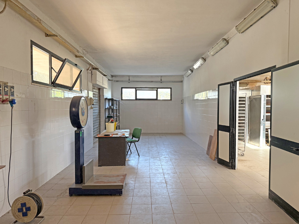 Capannone - Image 6