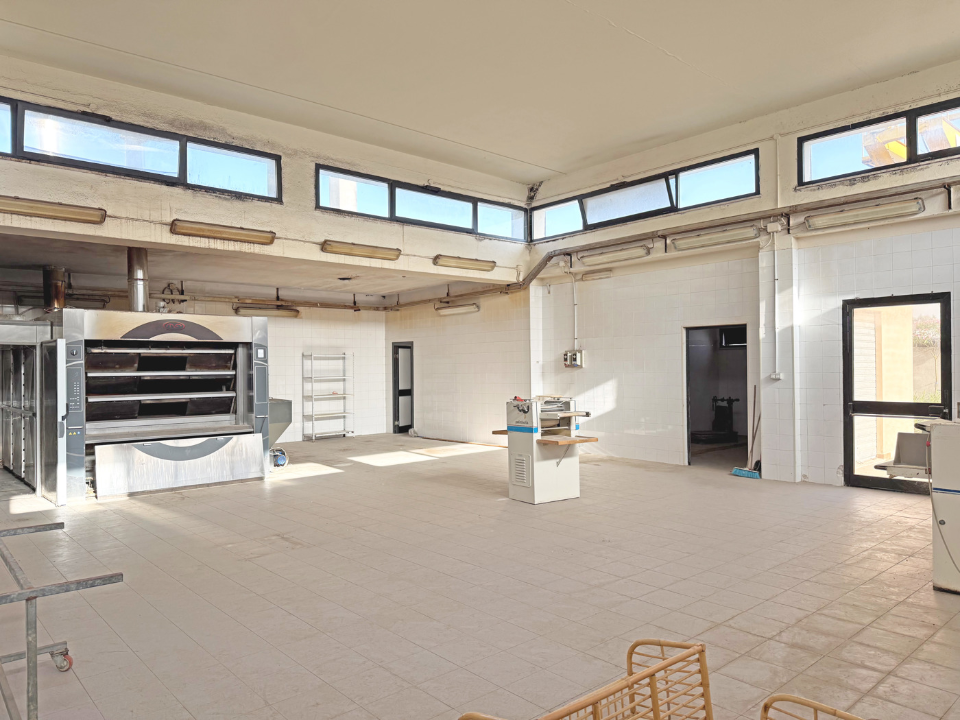 Capannone - Image 3