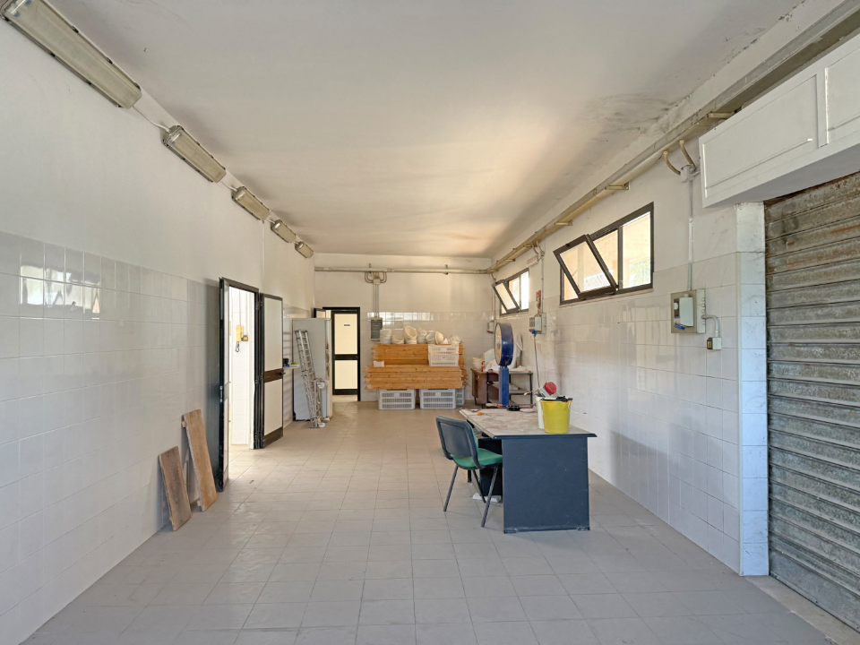 Capannone - Image 7