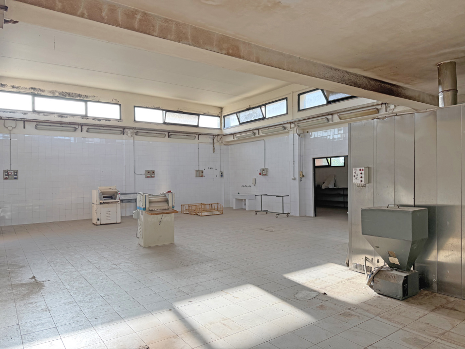 Capannone - Image 4