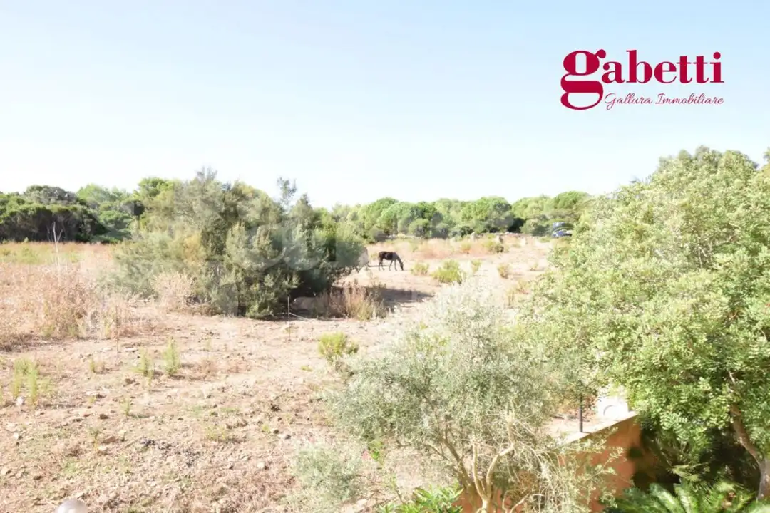 Appartamento - Image 12