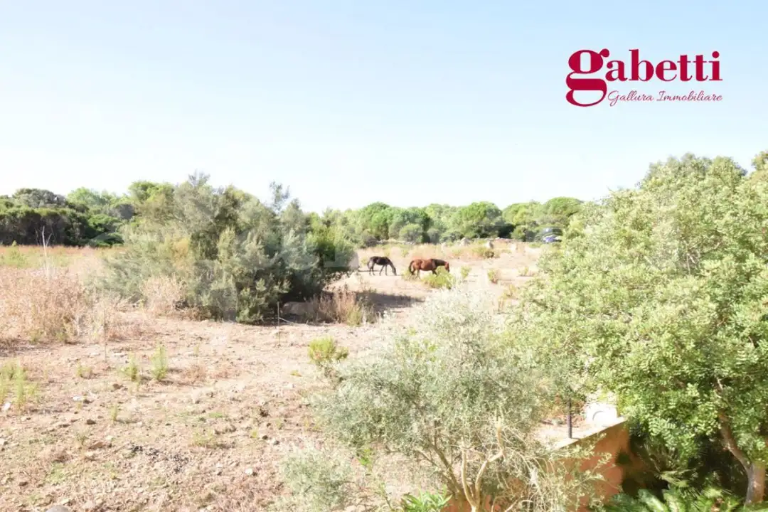 Appartamento - Image 11