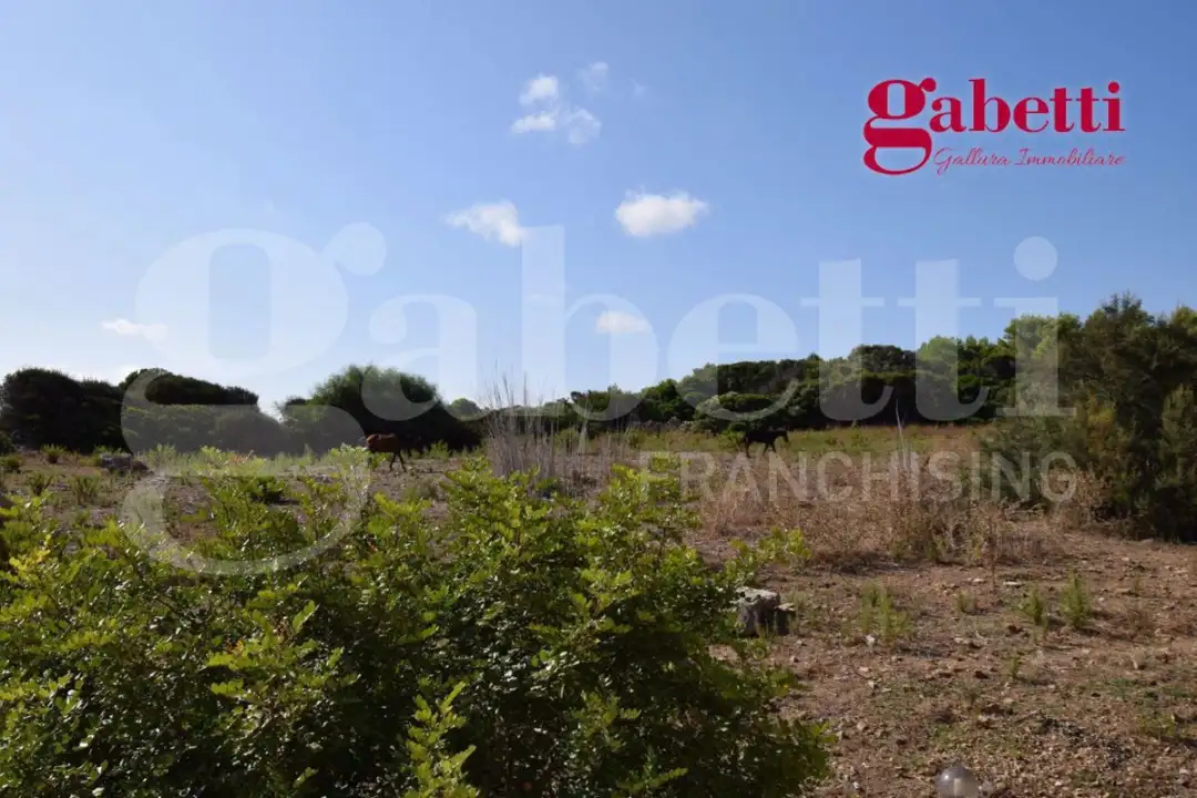 Appartamento - Image 9