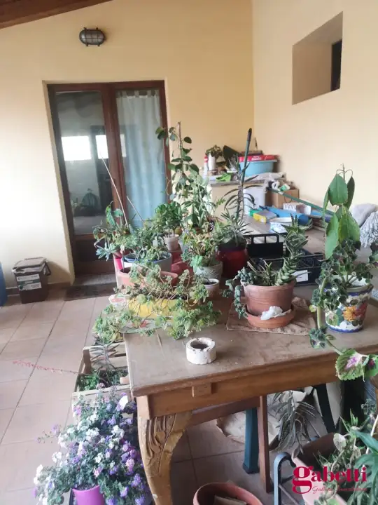 Appartamento - Image 7