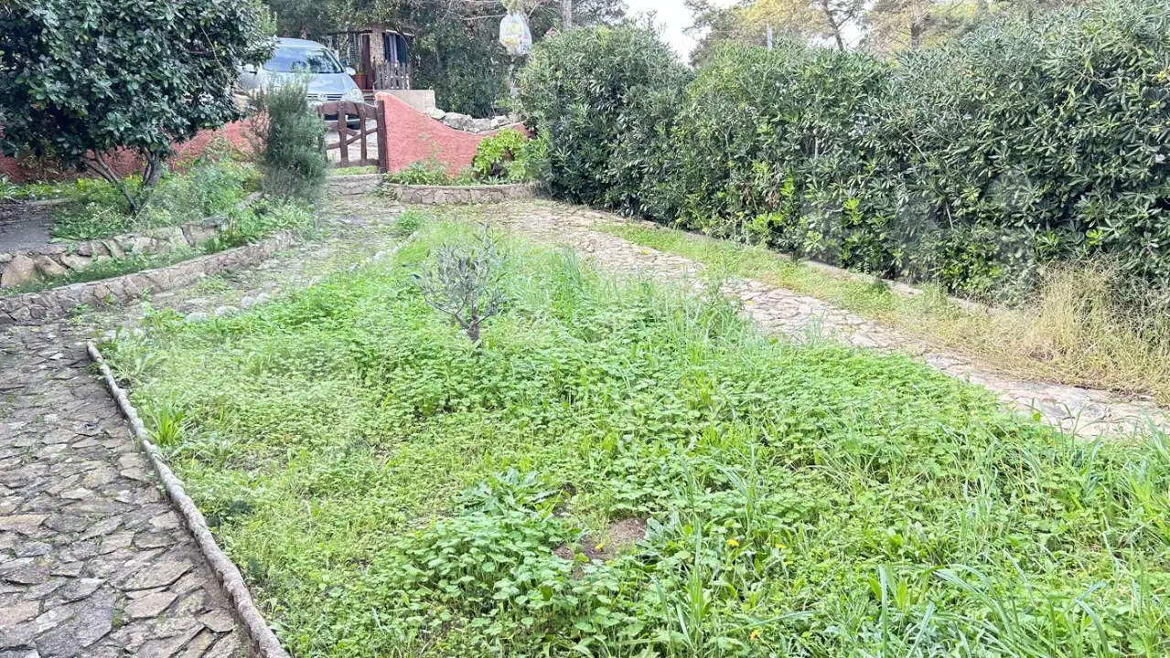 Appartamento - Image 5