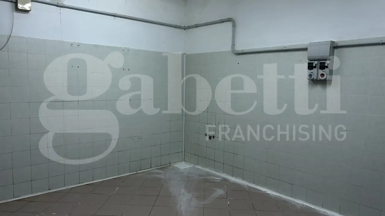 Laboratorio - Image 7